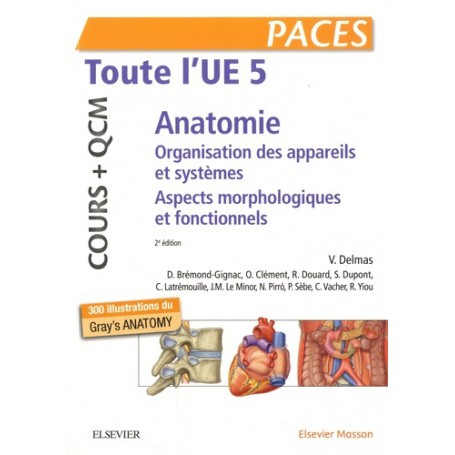 Anatomie UE5 : cours + QCM