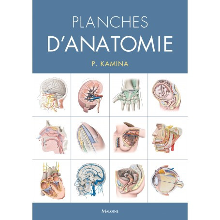 Planches d'anatomie, version spirales