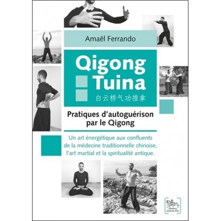 Qigong Tuina : pratiques d'autoguérison par le Qigong