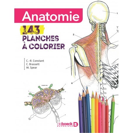 Anatomie : 143 planches à colorier