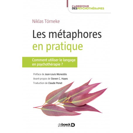 Les métaphores en pratique