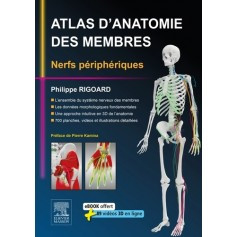 Atlas d'anatomie des membres : nerfs périphériques