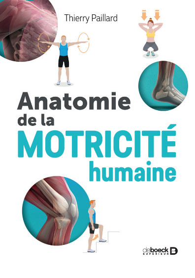 Anatomie de la motricité humaine