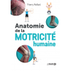 Anatomie de la motricité humaine