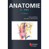 Anatomie, tome 3 : ORL