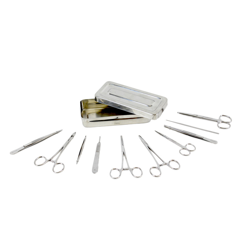 Boîte pour petite chirurgie inox 10 instruments