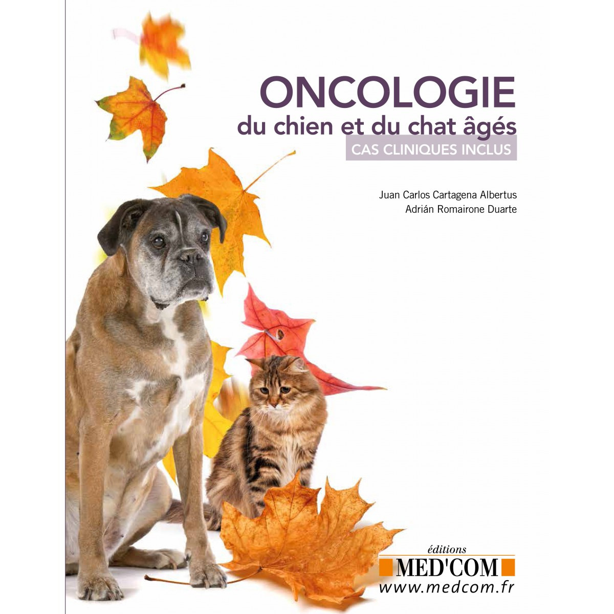 Oncologie du chien et du chat âgés