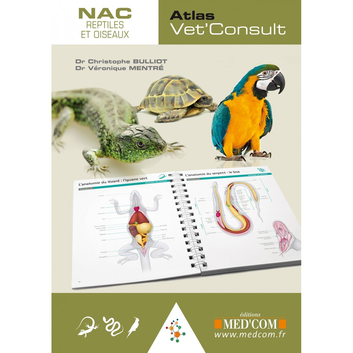 NAC, reptiles et oiseaux