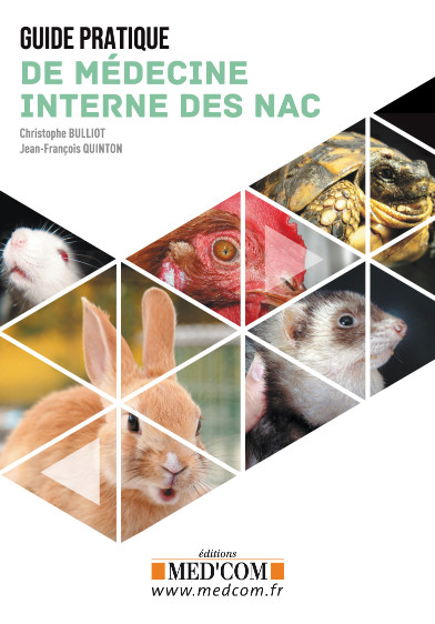 Guide pratique de médecine interne des NAC