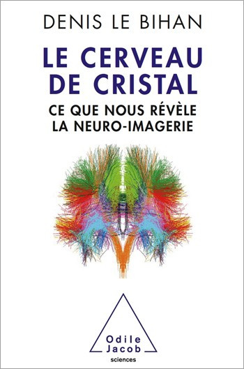 Le cerveau de cristal