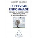 Le cerveau endommagé