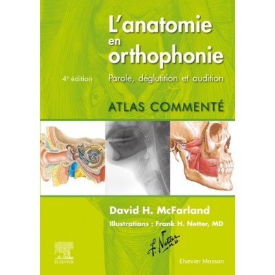 L'anatomie en orthophonie