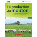 La production du mouton