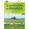 La production du mouton