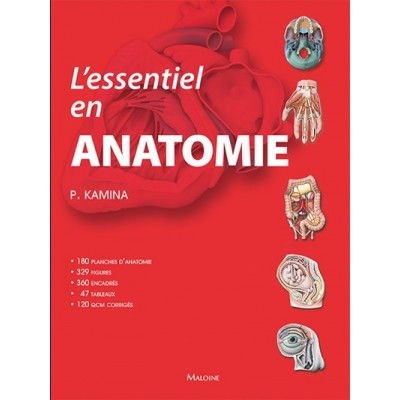 L'essentiel en anatomie