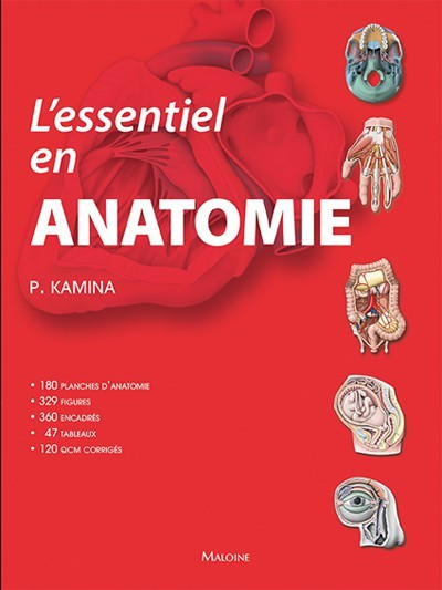 L'essentiel en anatomie