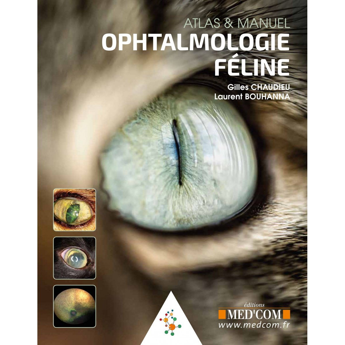 Ophtalmologie féline