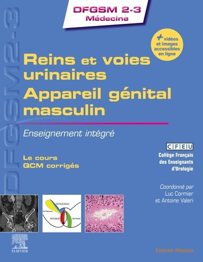 Rein et voies urinaires, appareil génital masculin