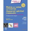 Rein et voies urinaires, appareil génital masculin