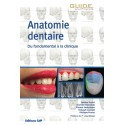Anatomie dentaire