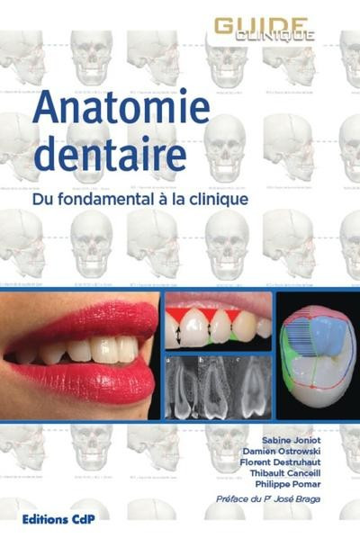 Anatomie dentaire