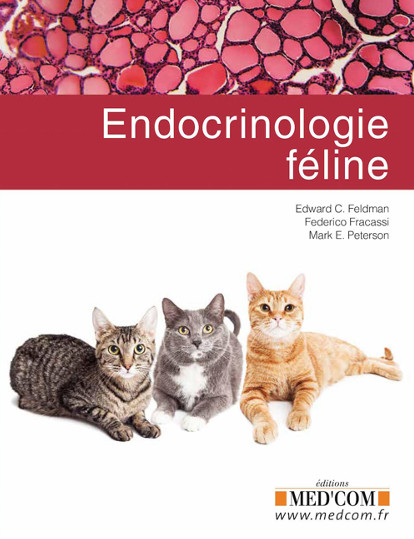 Endocrinologie féline