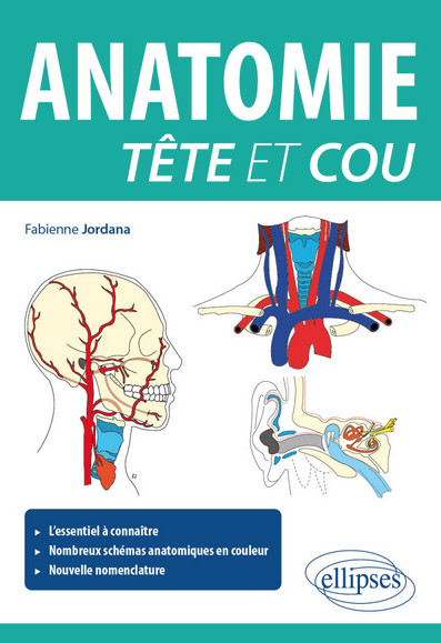 Anatomie tête et cou