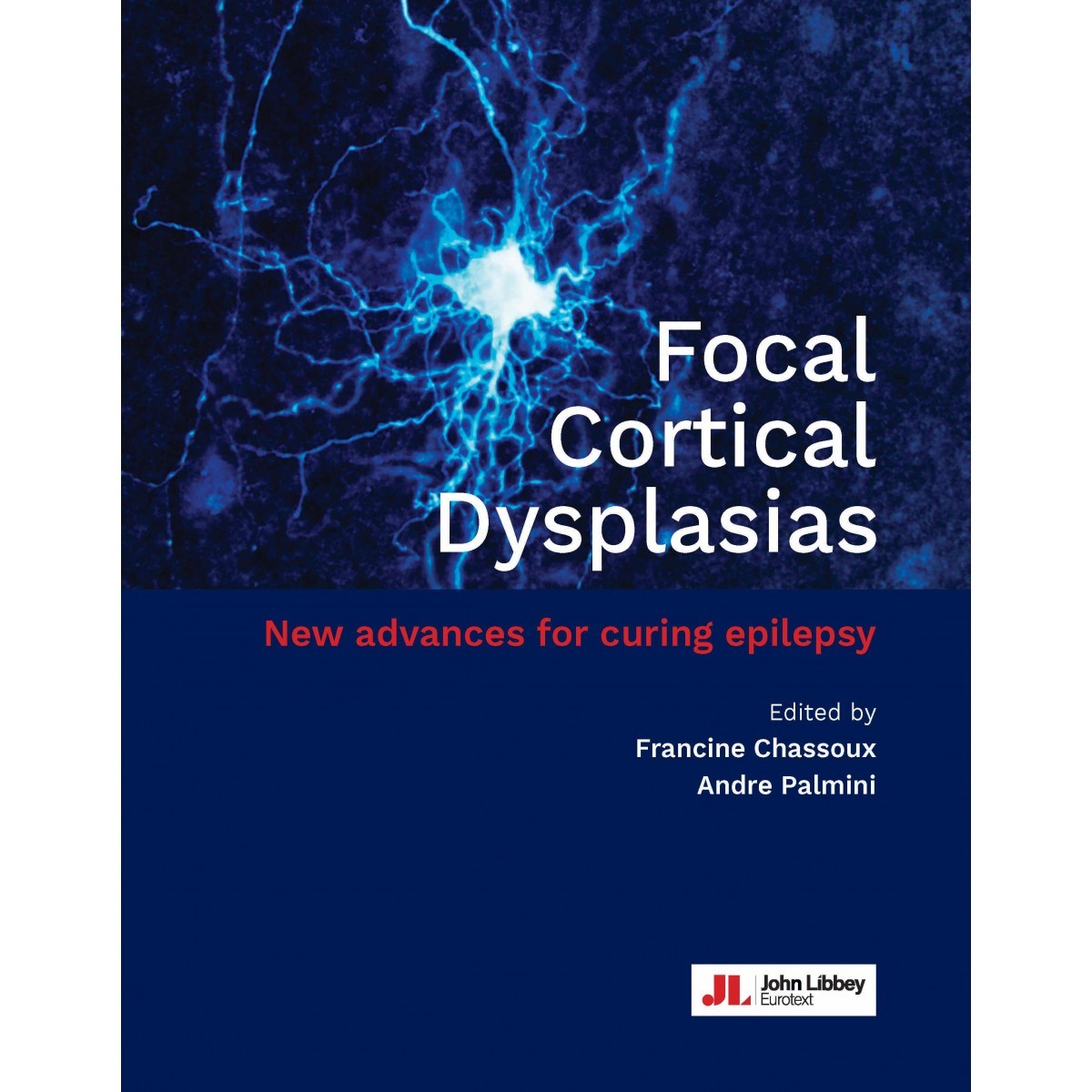 Focal cortical dysplasias