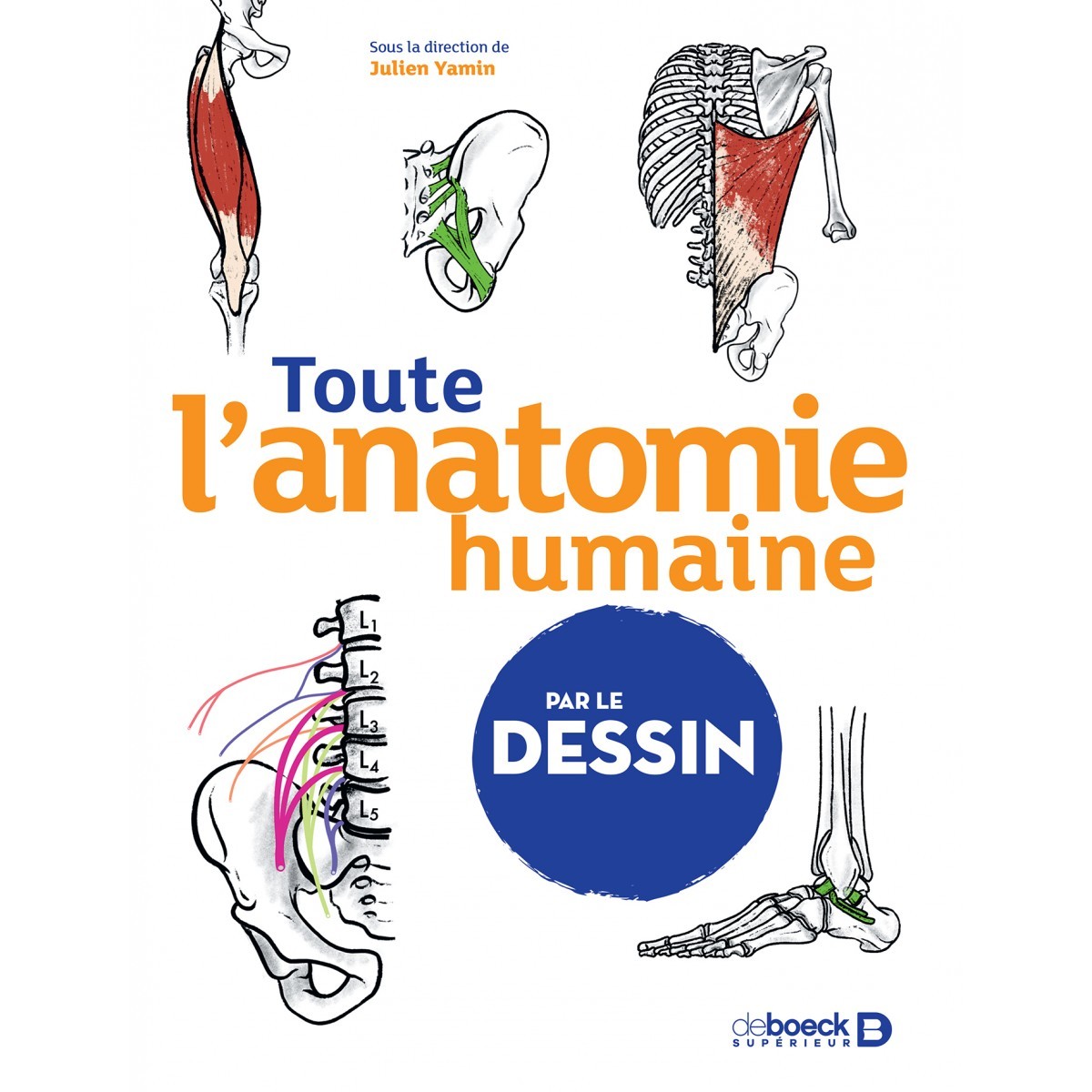 Toute l'anatomie humaine par le dessin, Julien Yamin, 2022, De Boeck