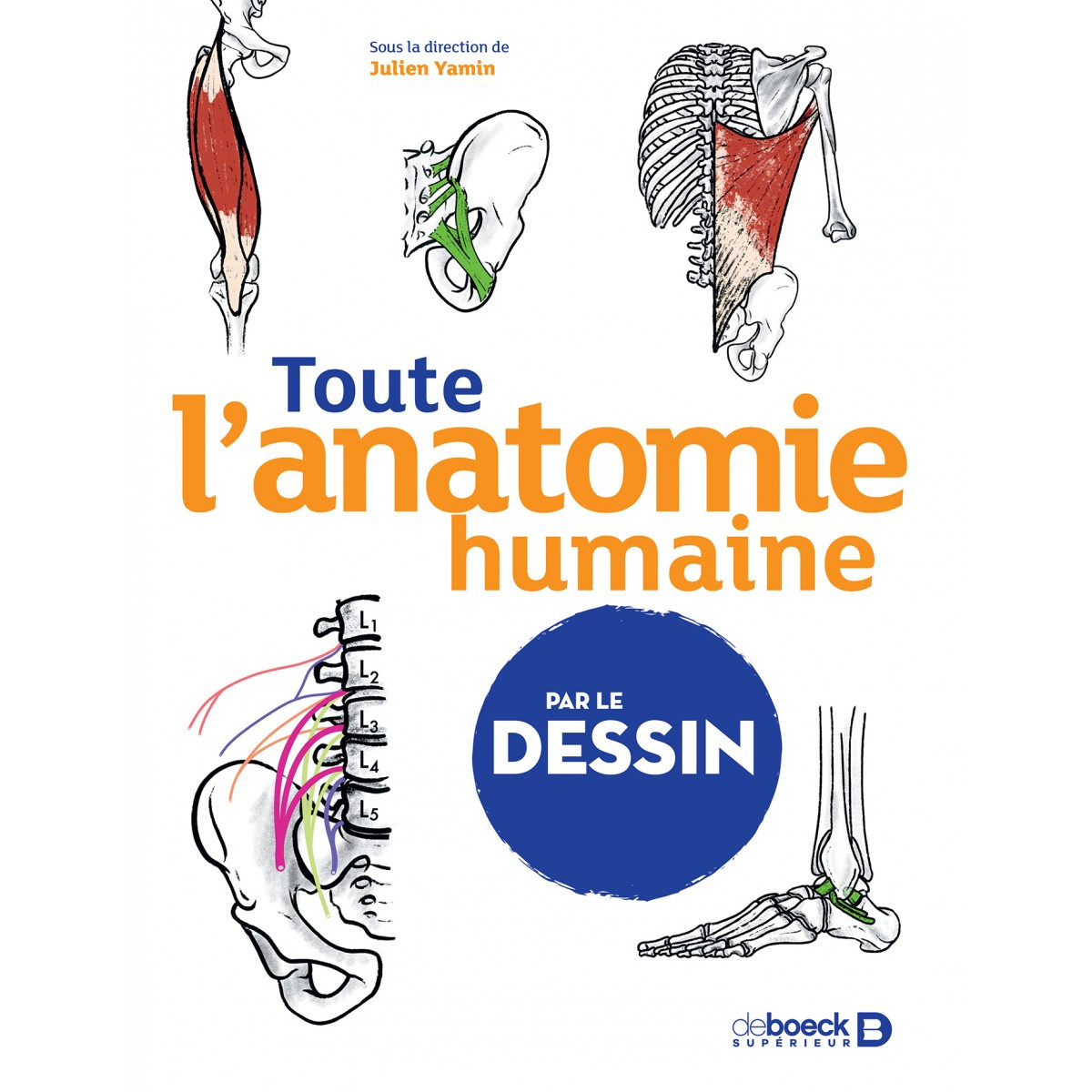 Toute l'anatomie humaine par le dessin