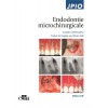 Endodontie microchirurgicale