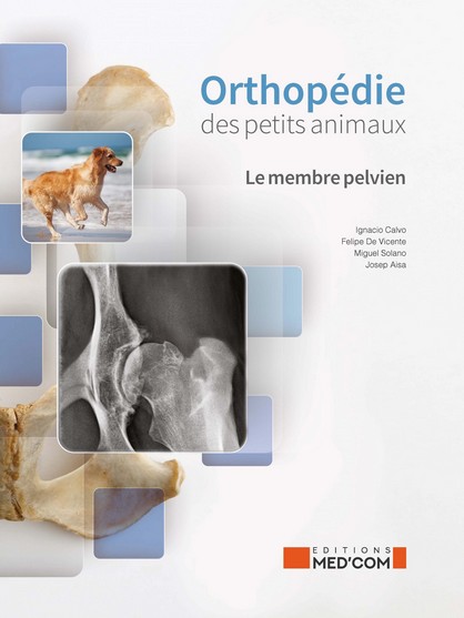Orthopédie des petits animaux : membre pelvien