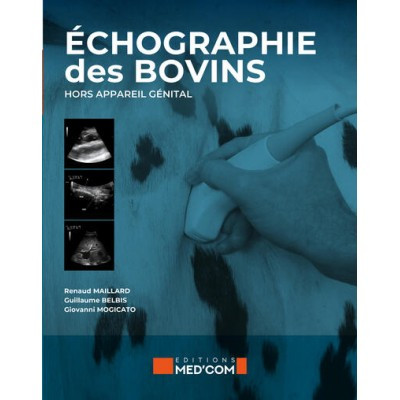 Echographie des bovins