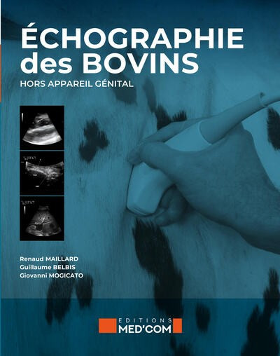 Echographie des bovins