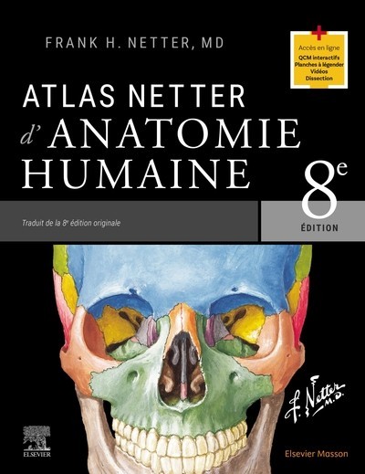 Atlas d'anatomie humaine Netter, 2023, Elsevier Masson