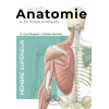 L'anatomie en fiches : membre supérieur