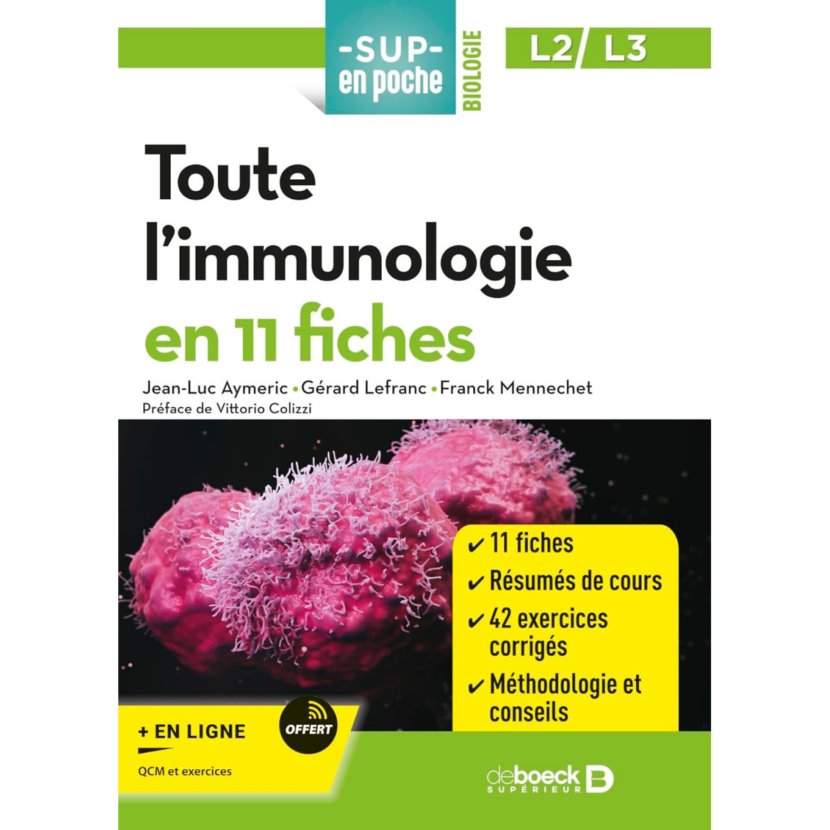 Toute l'immunologie en 11 fiches: Licences 2 et 3