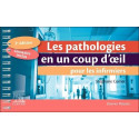 Les pathologies en un coup d\'œil pour les infirmiers