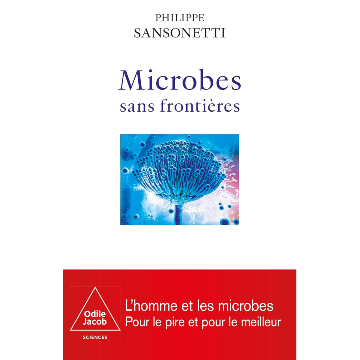 Microbes sans frontières