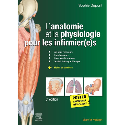 L'anatomie et la...