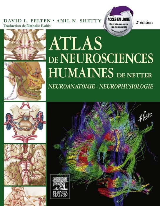 Atlas de Neurosciences humaines de Netter