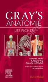 Gray's Anatomie - Les fiches