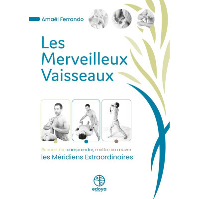 Les merveilleux Vaisseaux -...