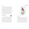 Petit traité d'Anatomie superflue - L'évolution à travers notre corps