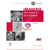 Imagerie des Urgences abdominales