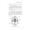 Alzheimer, Parkinson, Charcot... - Quand les neurones ne répondent plus