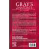 Gray's Anatomie - Les fiches