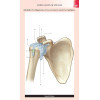 Gray's Anatomie - Les fiches