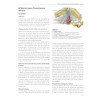 Rééducation en pelvi-périnéologie - Eléments pour une pratique clinique raisonnée