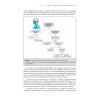 Bases de Neurosciences - Neuranatomie fonctionnelle